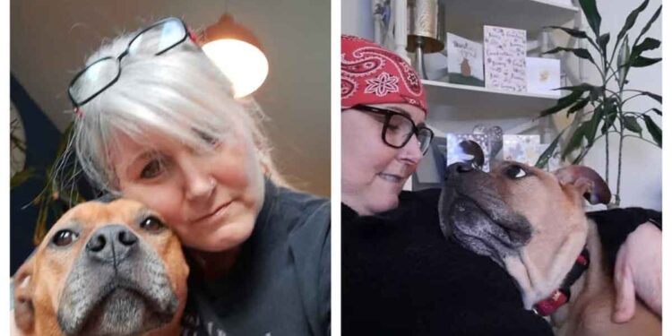 chien trois pattes Louie découvre cancer femme Karen Ethier