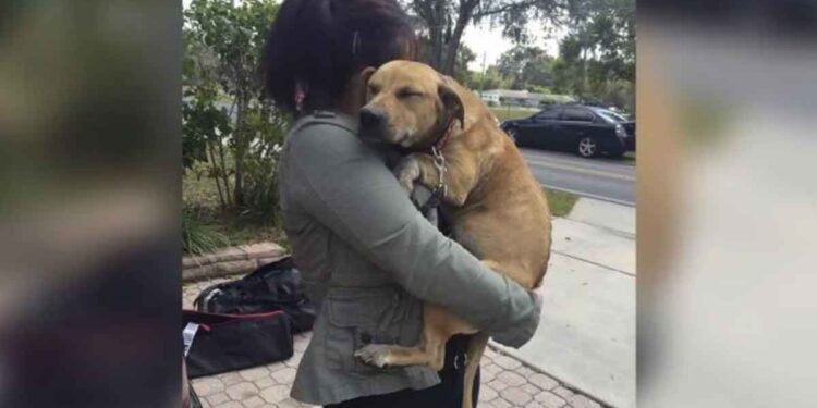 chiene traumatisée embrasse sauveteurs