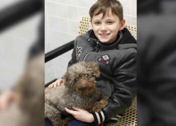 garçon refuge adopte chien âgé