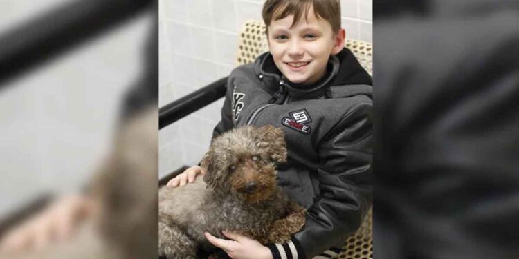 garçon refuge adopte chien âgé