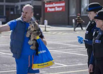 homme casse vitre Mercedes pour sauver un chiot