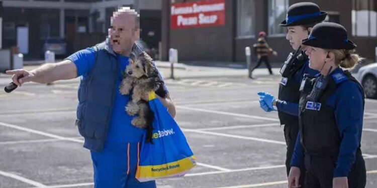 Un homme casse la vitre d'une Mercedes pour sauver un chiot 1 homme casse vitre Mercedes pour sauver un chiot