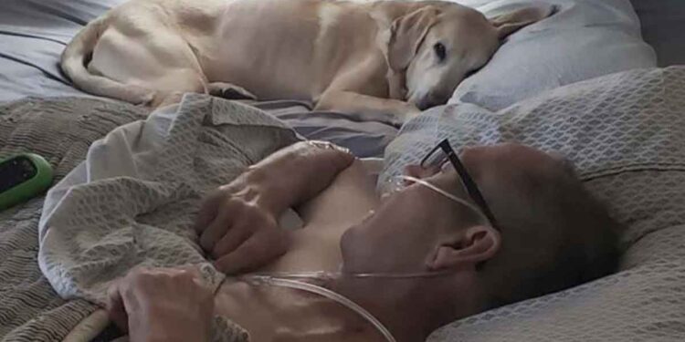 Un homme et son chien meurent le même jour et à quelques minutes d'intervalle 1 homme et son chien meurent le même jour