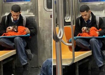 homme nourrit chaton métro