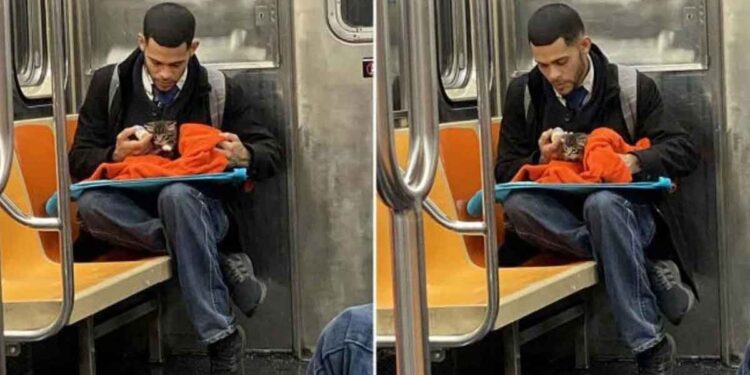 Un homme prend adorablement soin d'un petit chaton dans le métro et les photos deviennent virales 1 homme nourrit chaton métro