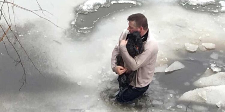 Un homme se jette dans les eaux gelées d'une rivière pour sauver un chien pris au piège 1 homme se jette eaux gelées sauver chien
