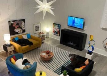 homme transforme chambre amis petit salon pour chiens