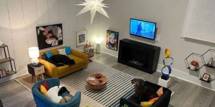 homme transforme chambre amis petit salon pour chiens