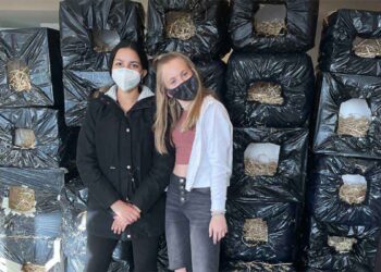 jeunes adolescentes construisent refuges pour chats