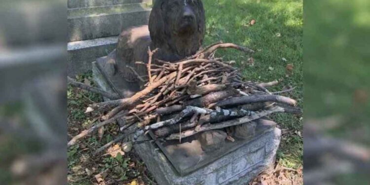 Les gens laissent des bâtons sur la tombe de ce chien centenaire