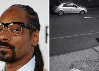 Snoop Dogg offre un foyer à Snoop le chiot