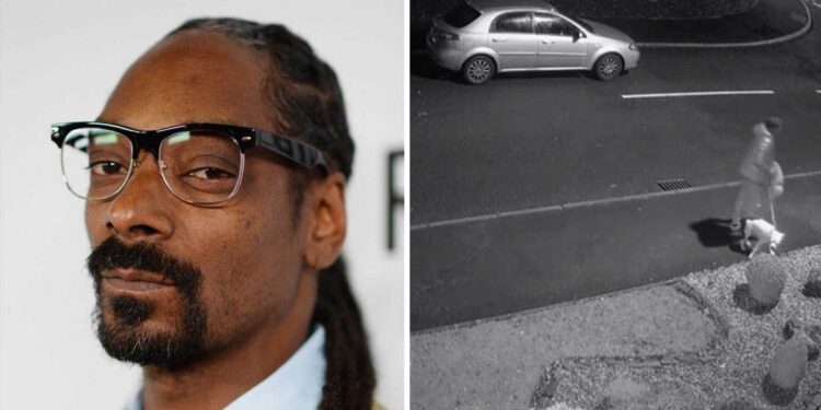 Snoop Dogg offre un foyer à "Snoop", le chiot qui a été abandonné juste avant Noël 1 Snoop Dogg offre un foyer à Snoop le chiot
