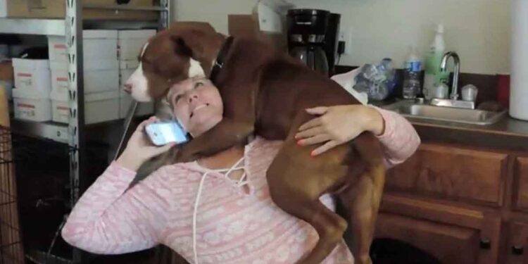 Un chien nouvellement sauvé est très reconnaissant après avoir été libéré des chaînes