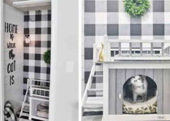 Un couple construit la chambre la plus mignonne pour son chat