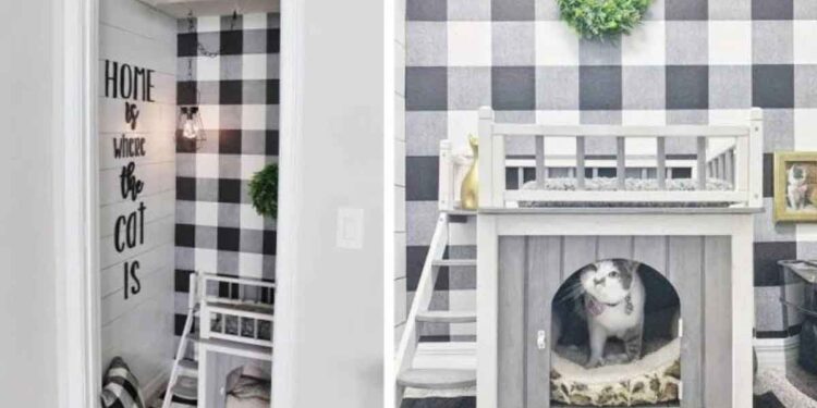 Un couple construit la chambre la plus mignonne pour son chat 1 Un couple construit la chambre la plus mignonne pour son chat