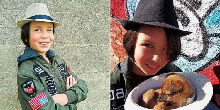 Un garçon de 11 ans baigne les chiens errants pour les aider à trouver un foyer 1 Un garçon de 11 ans baigne les chiens errants pour les aider à trouver un foyer