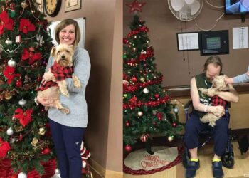 Une infirmière adopte le chien de 13 ans de son patient