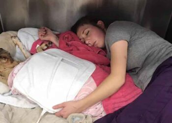 Une vétérinaire dort à côté chien brûlé pour se sente protégé