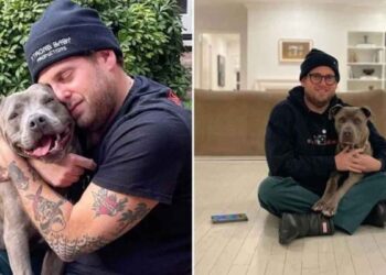 acteur jonah hill joie adopter chiot