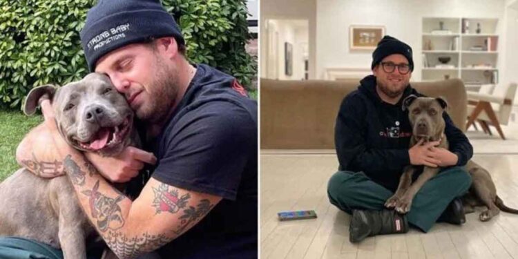 acteur jonah hill joie adopter chiot