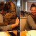 chien embrasse propriétaire chaque jour