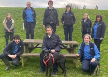 chien plus malchanceux trouvé foyer Noël