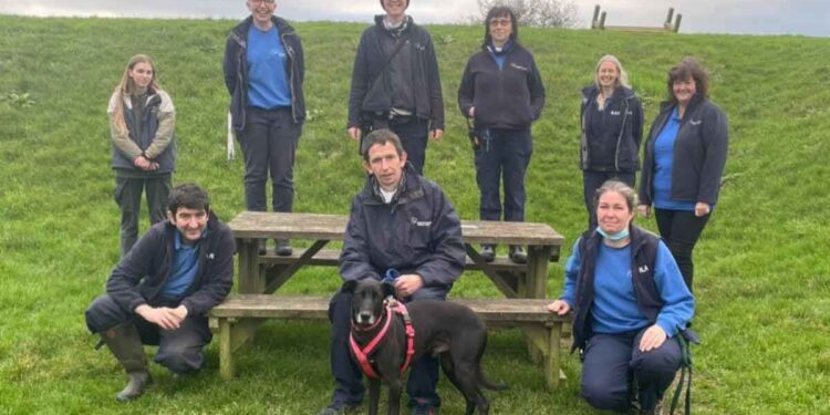 chien plus malchanceux trouvé foyer Noël