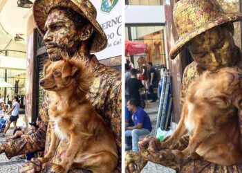 Un petit chien aide son propriétaire, un artiste de rue, dans sa routine de statue humaine 7 petit chien aide son propriétaire artiste de rue