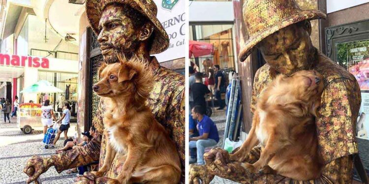 Un petit chien aide son propriétaire, un artiste de rue, dans sa routine de statue humaine 1 petit chien aide son propriétaire artiste de rue