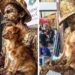 petit chien aide son propriétaire artiste de rue