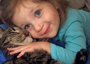 petite fille fente labiale adopté chat même état