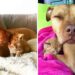 Ce pitbull sauvé est « obsédé » par les chats obtient enfin un chaton à prendre en charge 5 pitbull obsédé par les chats obtient chaton