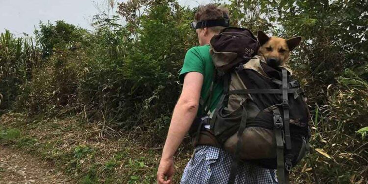 randonnée 12 heures sauver chien blessé