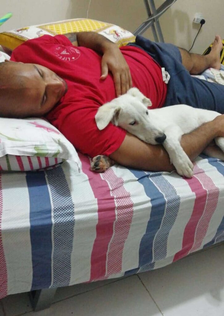 Le chien s'endort sur son père