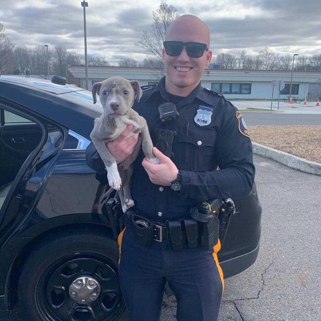 Un policier accueille un chiot pitbull dans sa famille