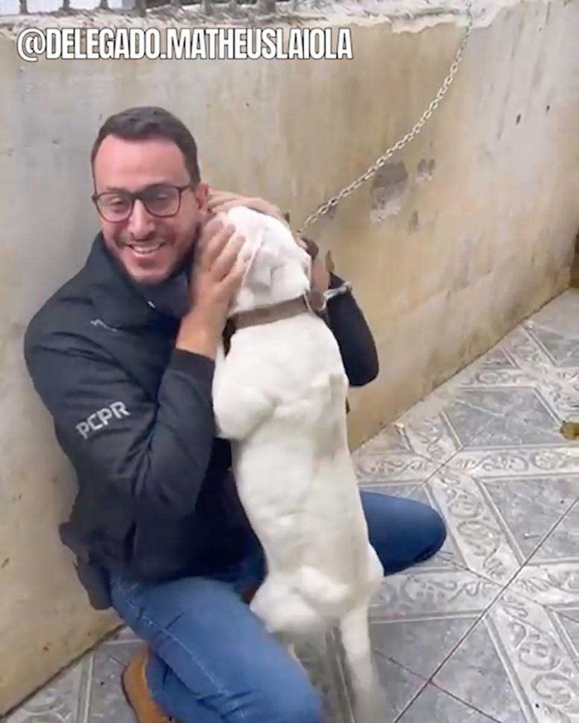 Un chien enchaîné n'arrête pas de serrer dans ses bras l'homme qui l'a libérée