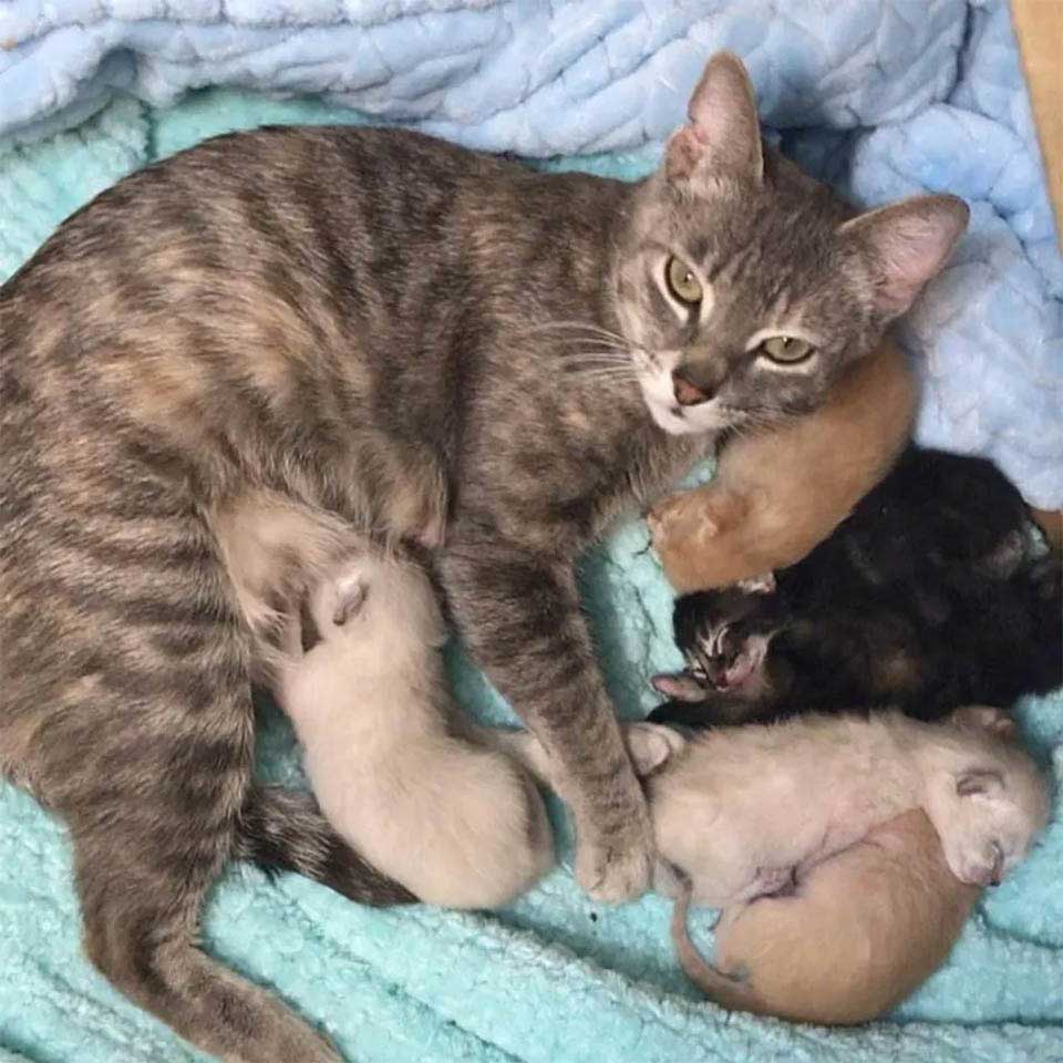 Valentina et les bébés