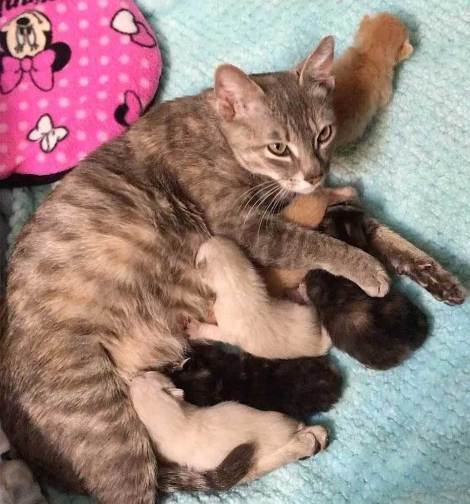 Valentina s'occupe des bébés