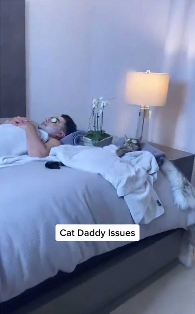 chat et son père lors d'une journée au spa