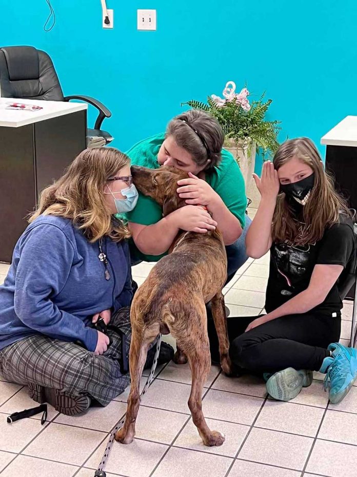 Un chien de refuge aide une adolescente en pleine crise d