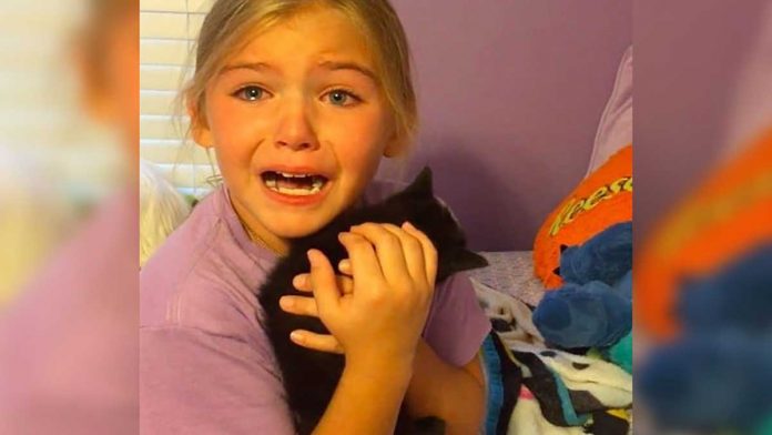 fille effond pleurant chat sauvé