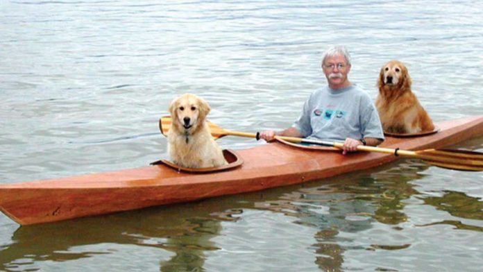 homme construit kayak mesure transporter chiens