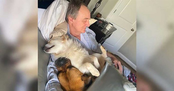 femme trouve père faire sieste chiens quartier