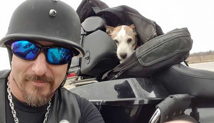 un motard sauve un chien sur la route