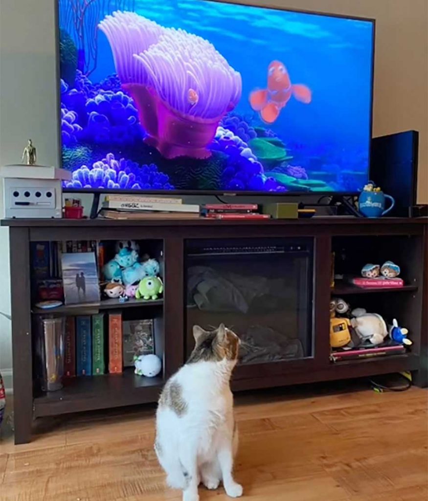 Ella aime regarder la télé