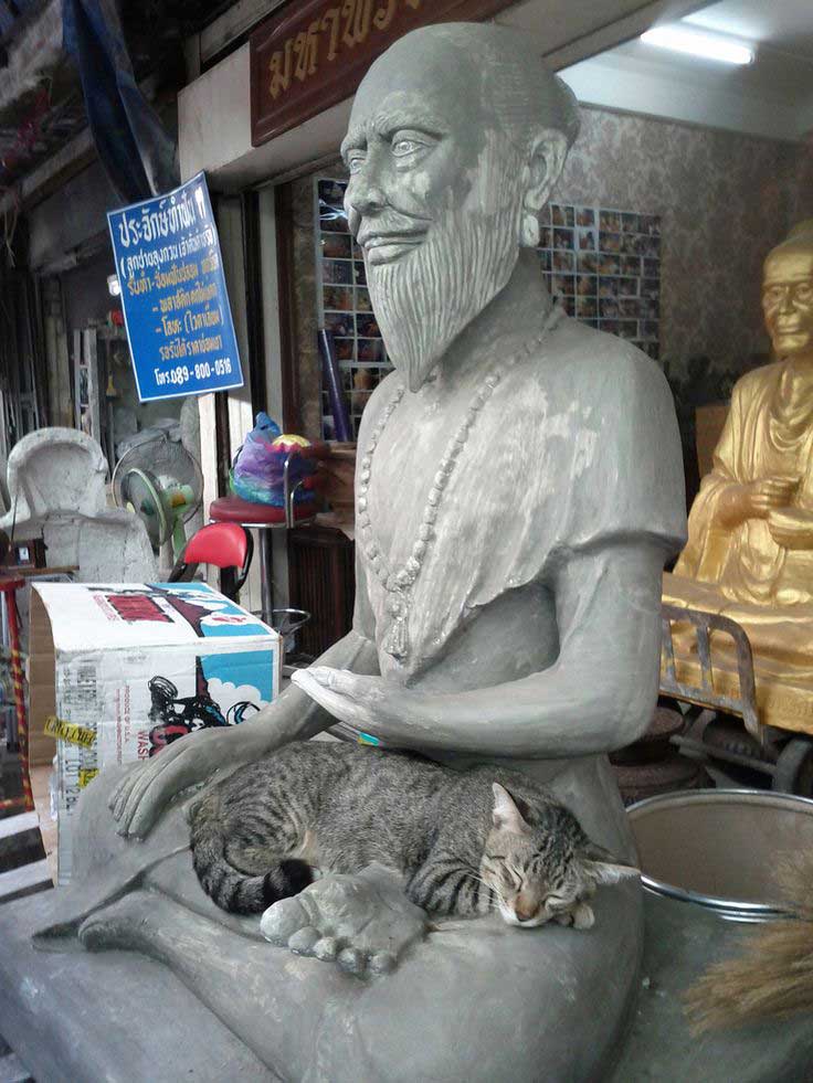 chats adorent statues