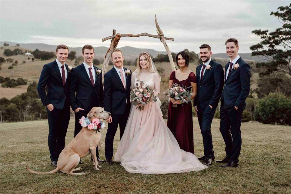 chien dans un mariage