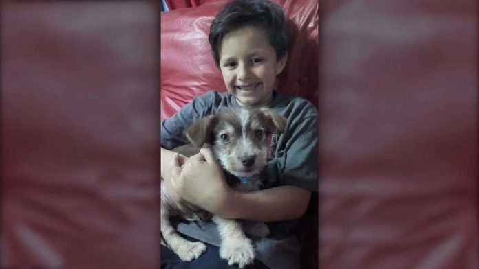 garçon sauvé chien adopté