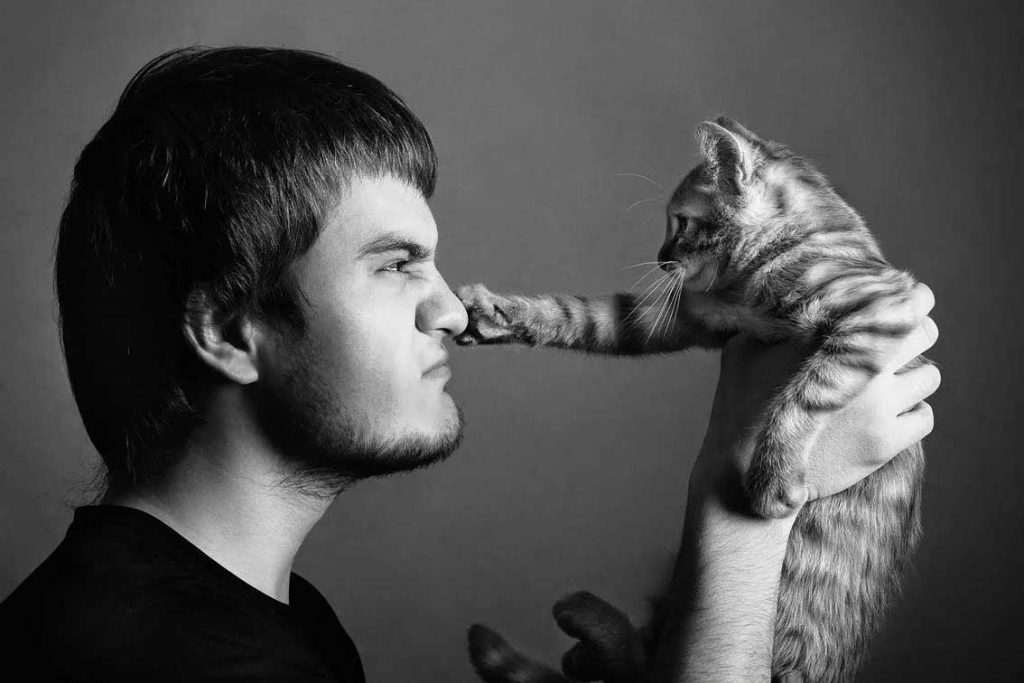 Comment comprendre votre chat communiquer avec lui