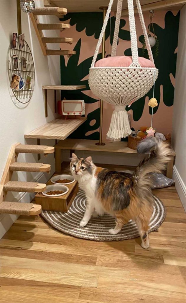 femme transforme placard sous escalier chambre pour chats